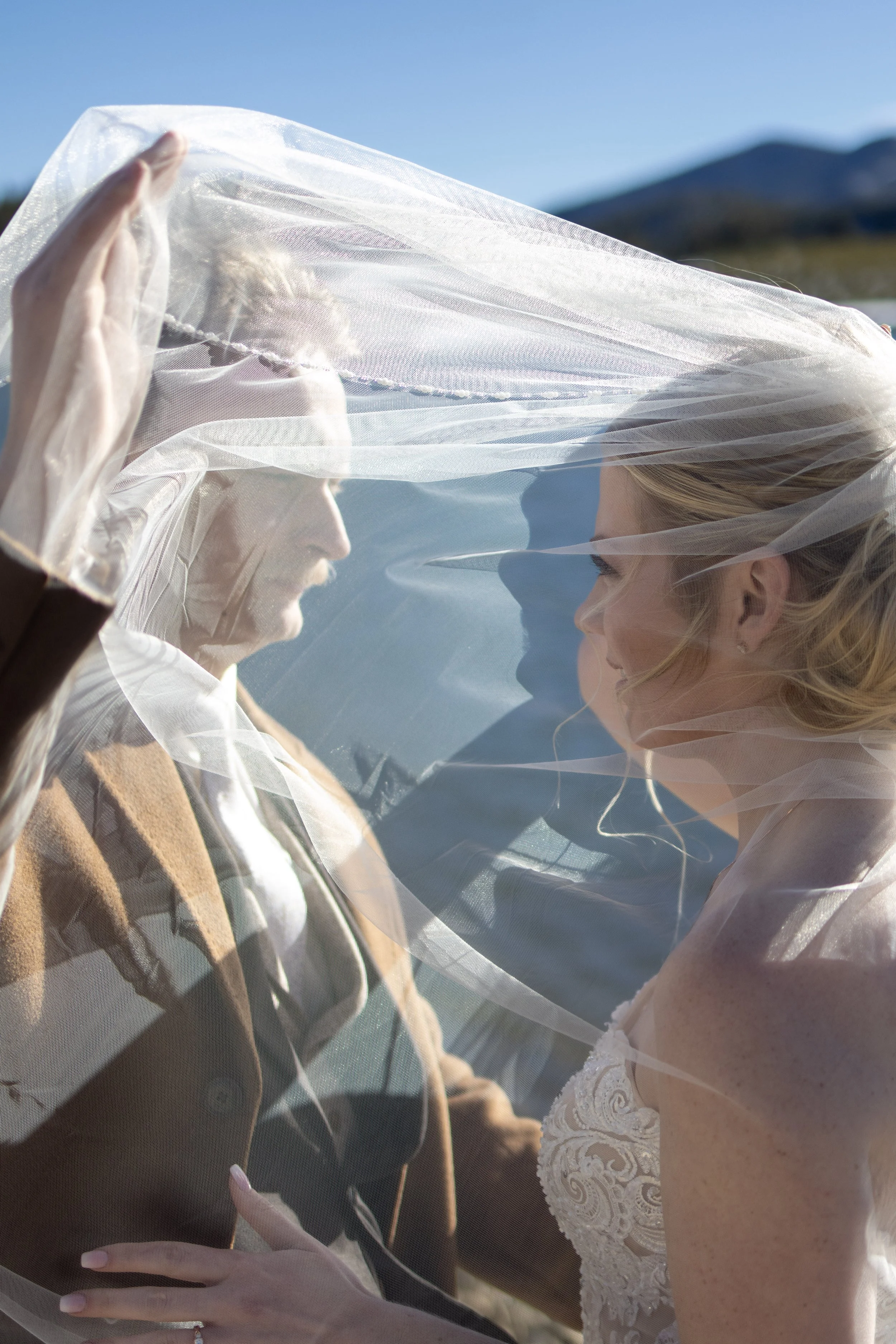 Wedding couple under a veil